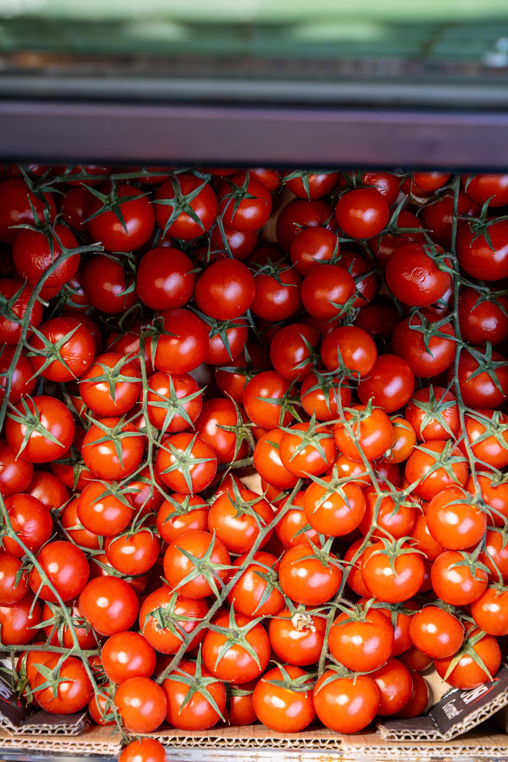 Fresh cherry tomatoes