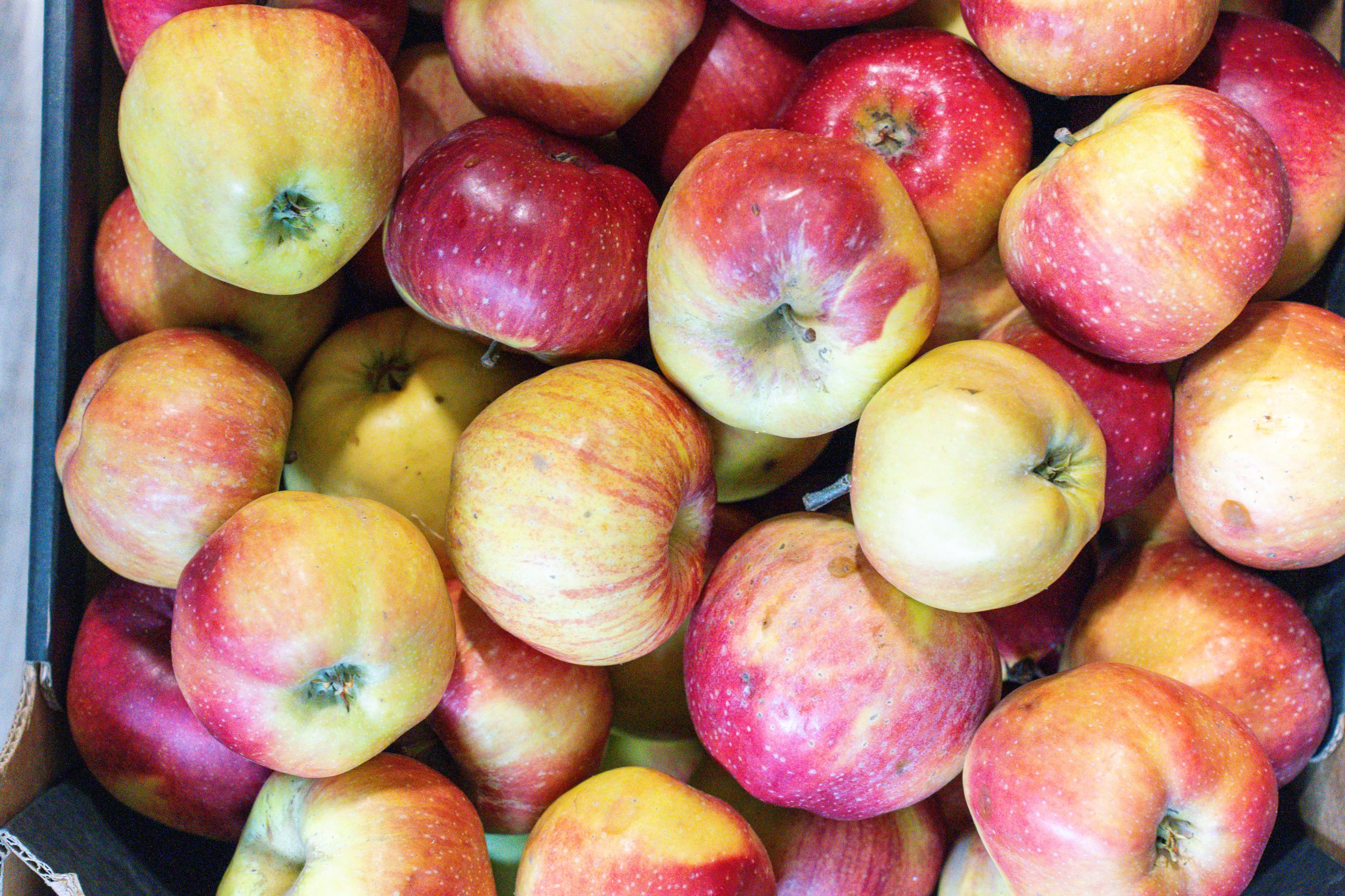 Fresh apples